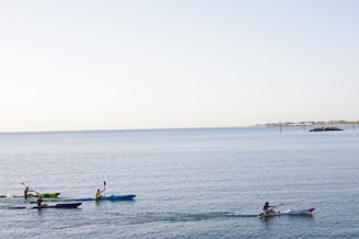 Three people are kayaking in the calm, open sea under a clear sky. The water is light blue, and the horizon is visible in the distance with some land and trees.