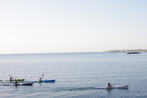 Three people are kayaking in the calm, open sea under a clear sky. The water is light blue, and the horizon is visible in the distance with some land and trees.