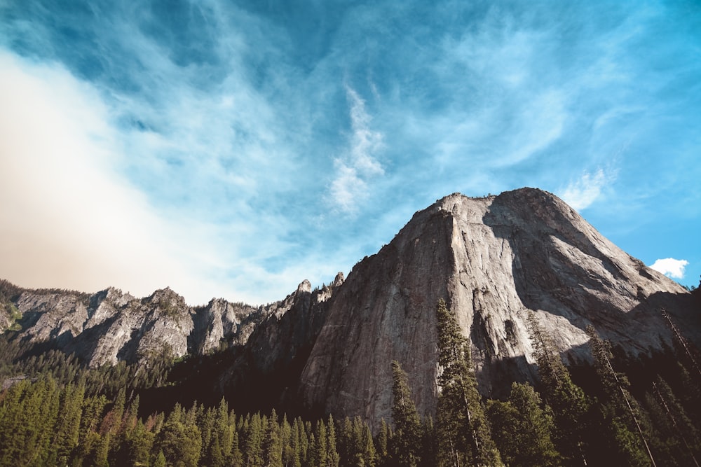 rock mountain surrounded by pine trees