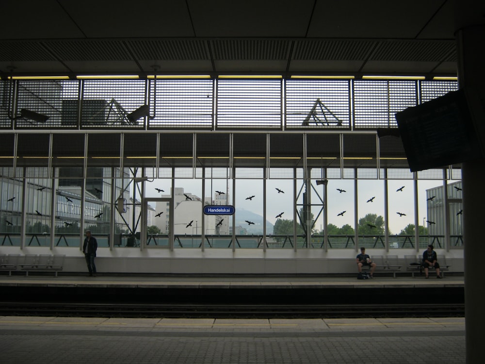 two person sitting on bench