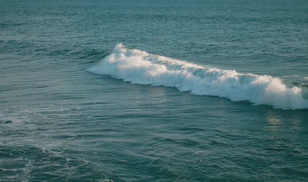 wave formation on sea