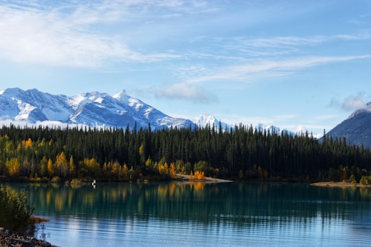 lake surrounded by trees during daytime in Abraham Lake Canada