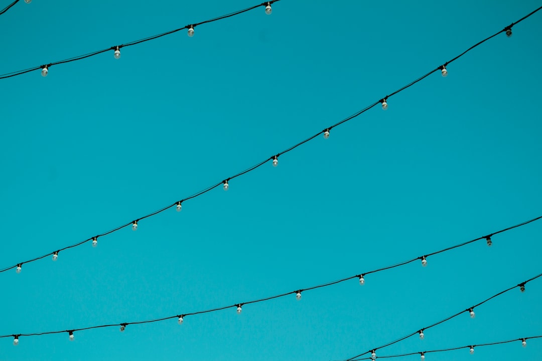 worm's eye view photography of black string lights