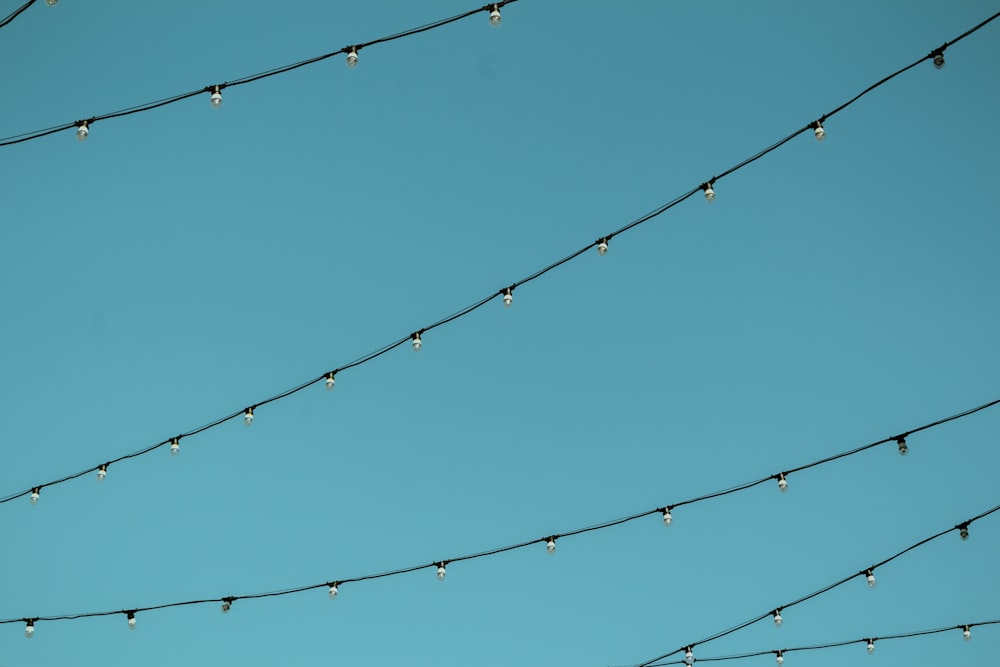 worm's eye view photography of black string lights