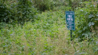 A green sign indicating a state forest with public hunting and wildlife management area is set amidst dense vegetation. The area surrounding the sign is filled with lush green plants and wild foliage, suggesting a natural and unmanaged environment.
