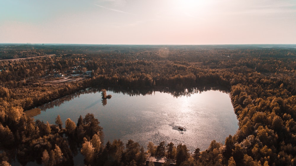 aerial view photography of calm water surrounded by trees