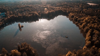 A serene image of a heart surrounded by nature symbolizing love.