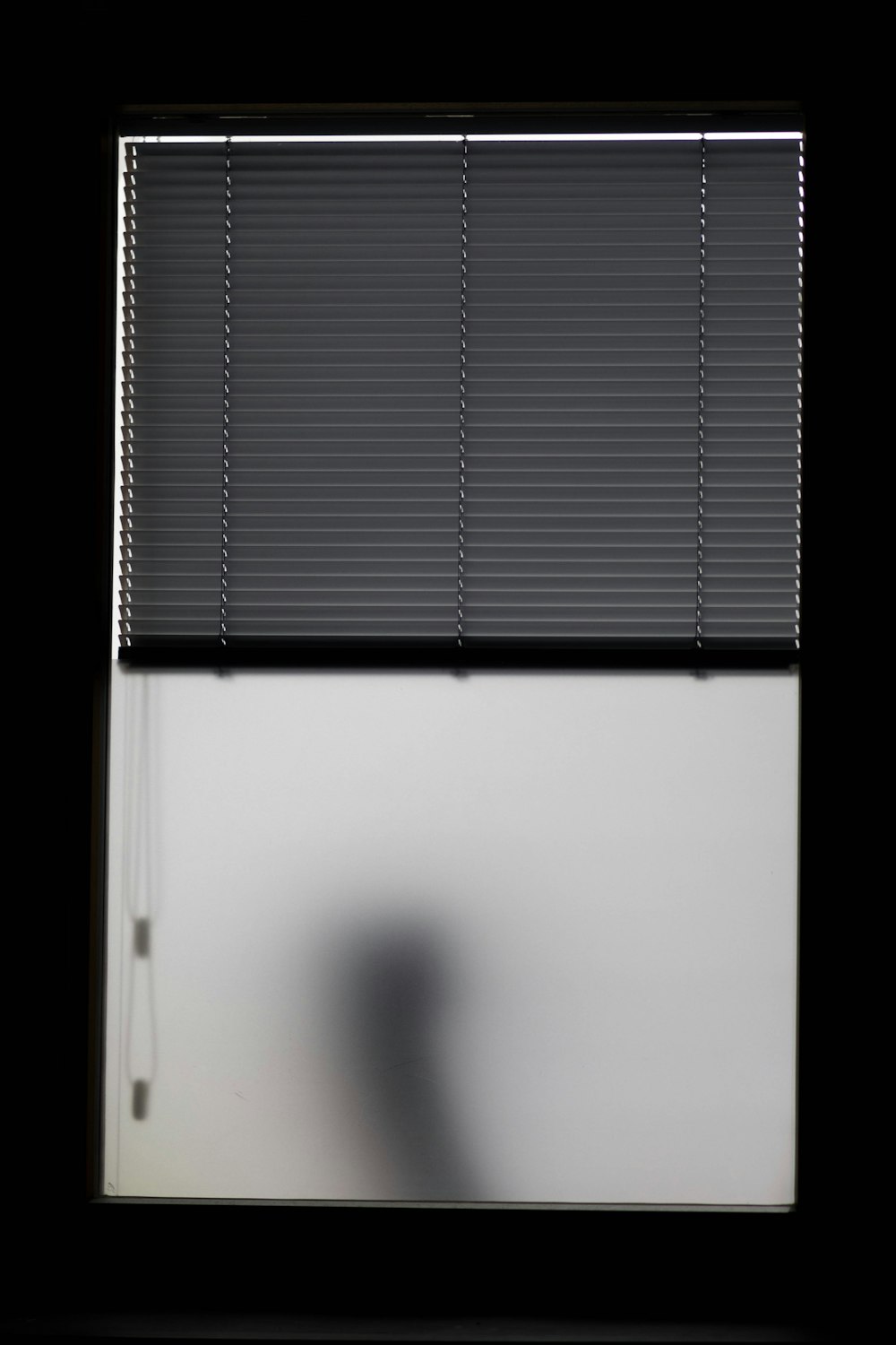 photo of half-open window blinds