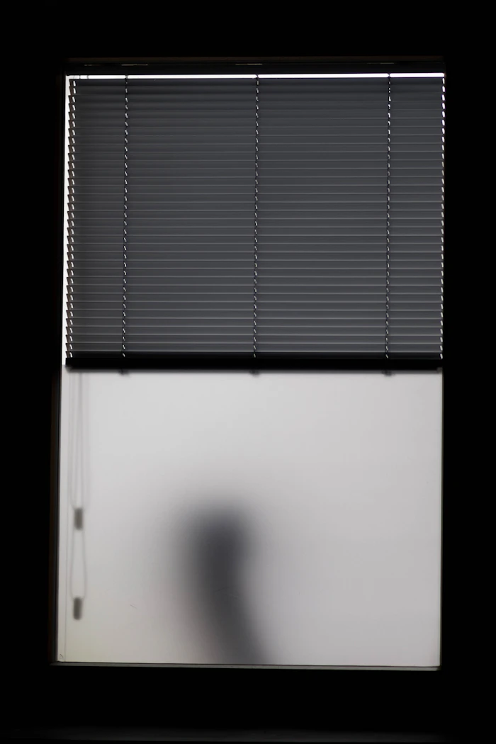 A window at night with half open blinds above a frosted pane and a soft silhouette behind it