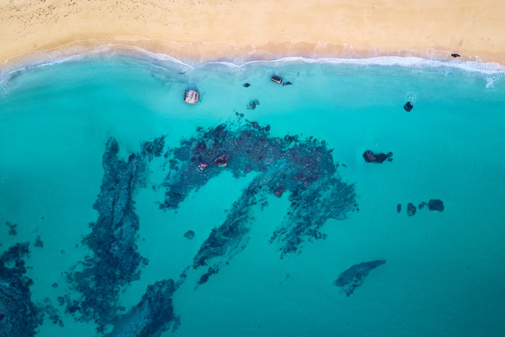 Fotografía aérea de un cuerpo de agua