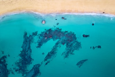 aerial photography of body of water turquoise teams background