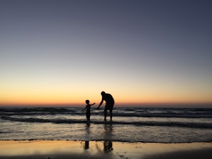 silhouette of man and kid on seashore