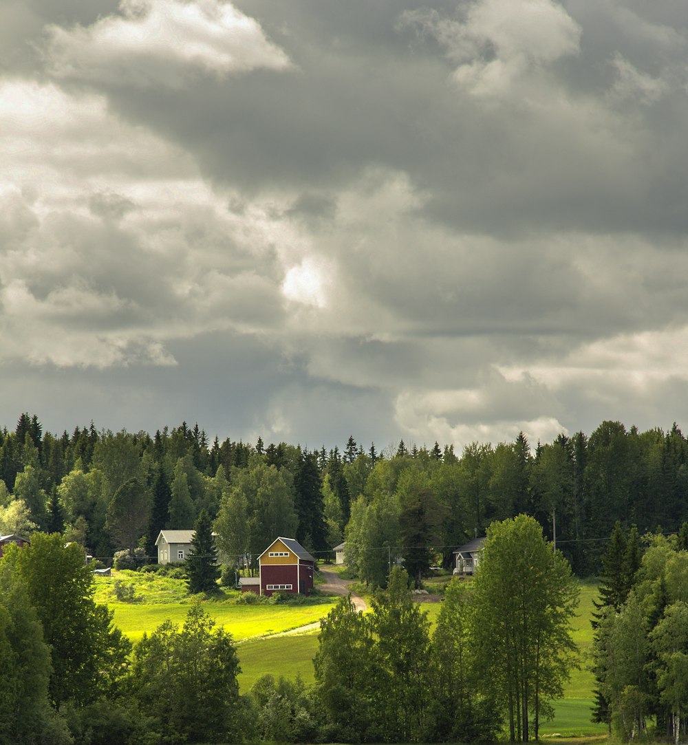 green trees under cloudy sky during daytime