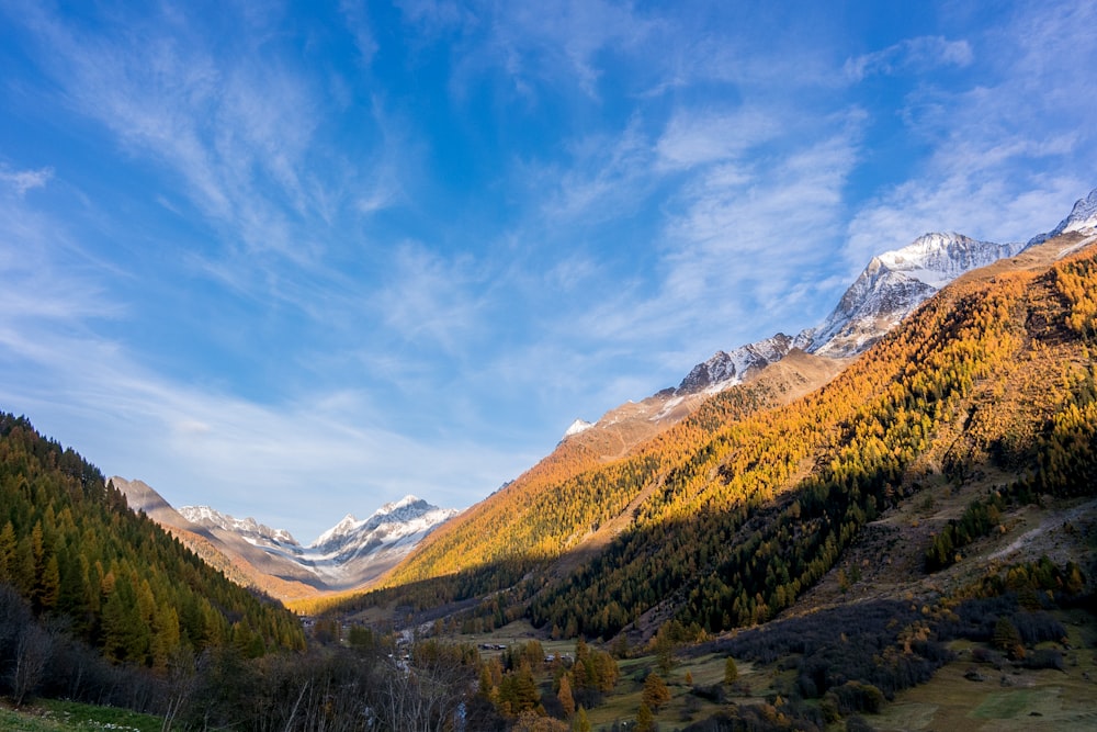 Fotografia de paisagem de Brown Mountains