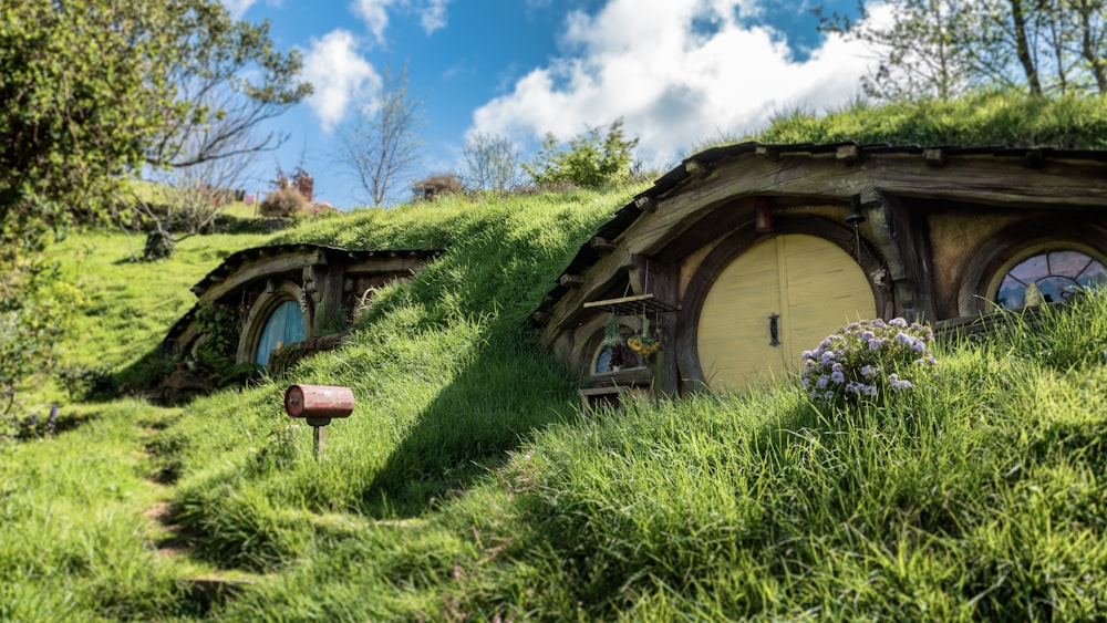 photographie de paysage de maison en bois brun avec des arbres autour