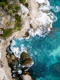 aerial view of shore during daytime