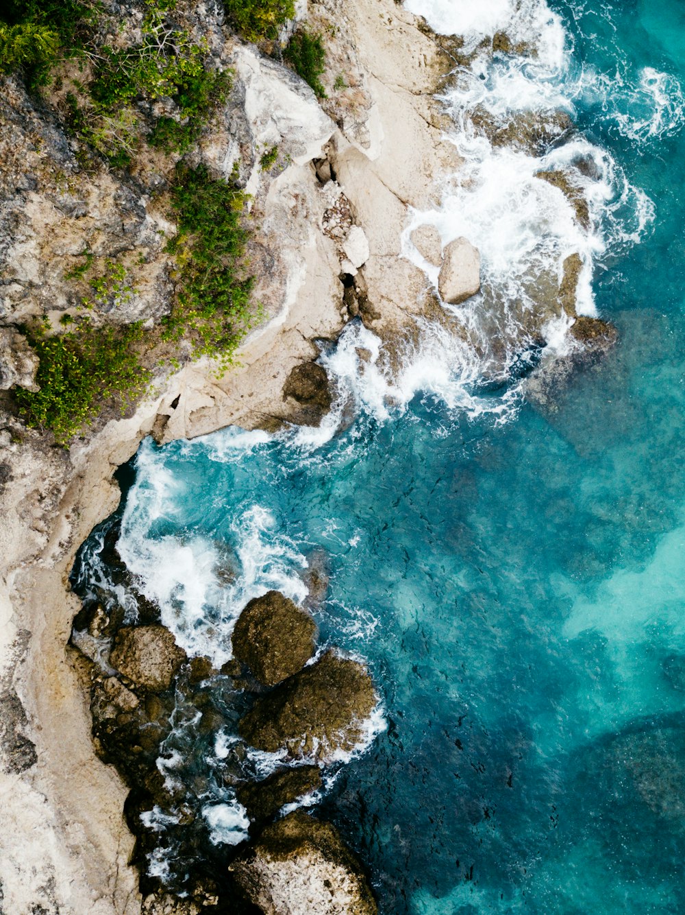 日中の海岸の空中写真