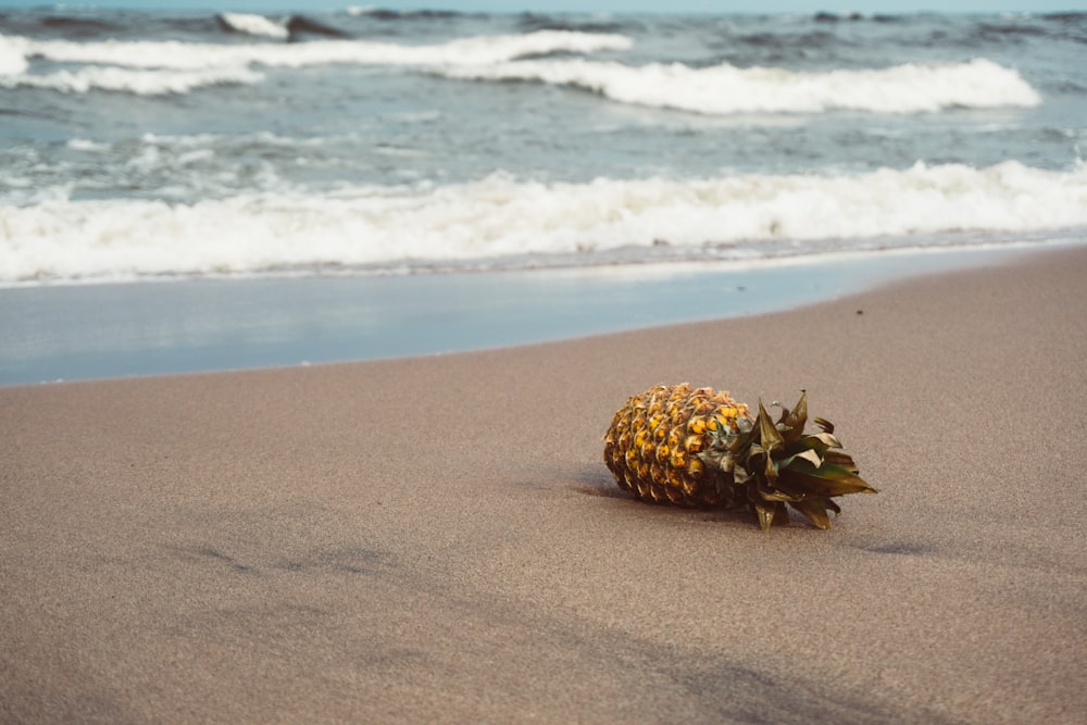 pineapple of sands