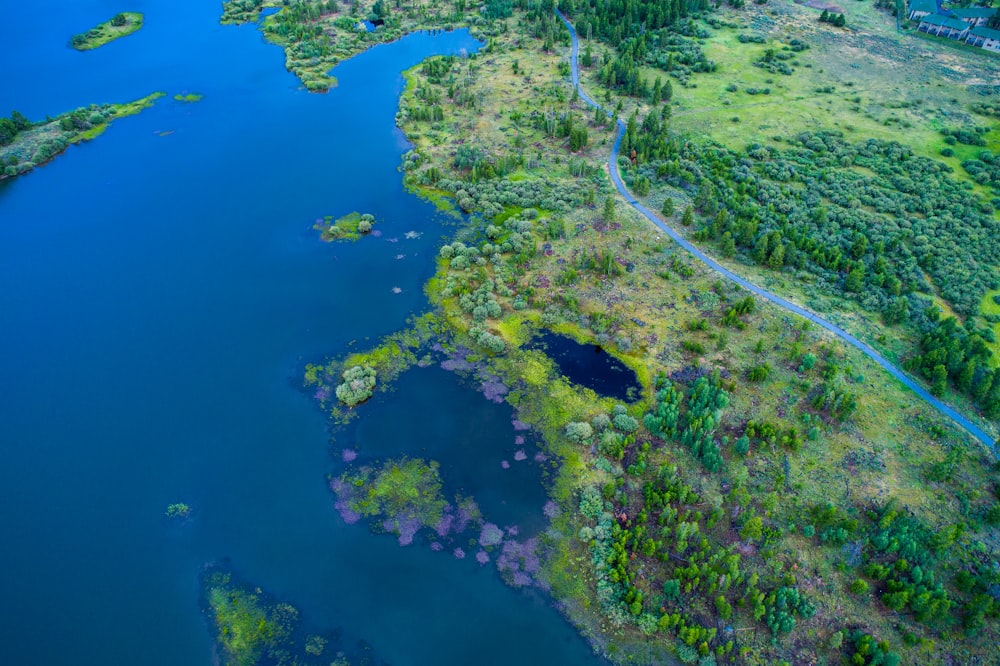 aerial photography of island