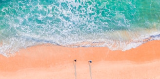 beach shore during day time