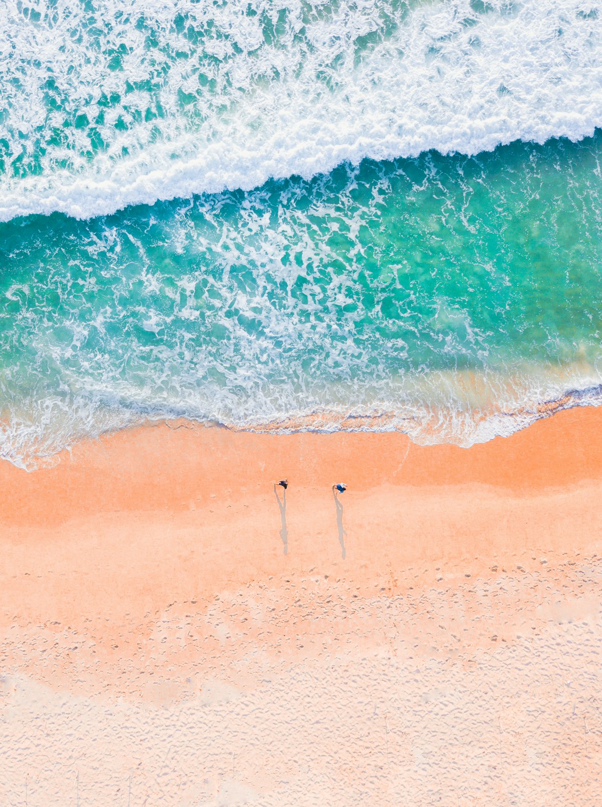 Northern Beaches Sydney aerial view palm trees coastline