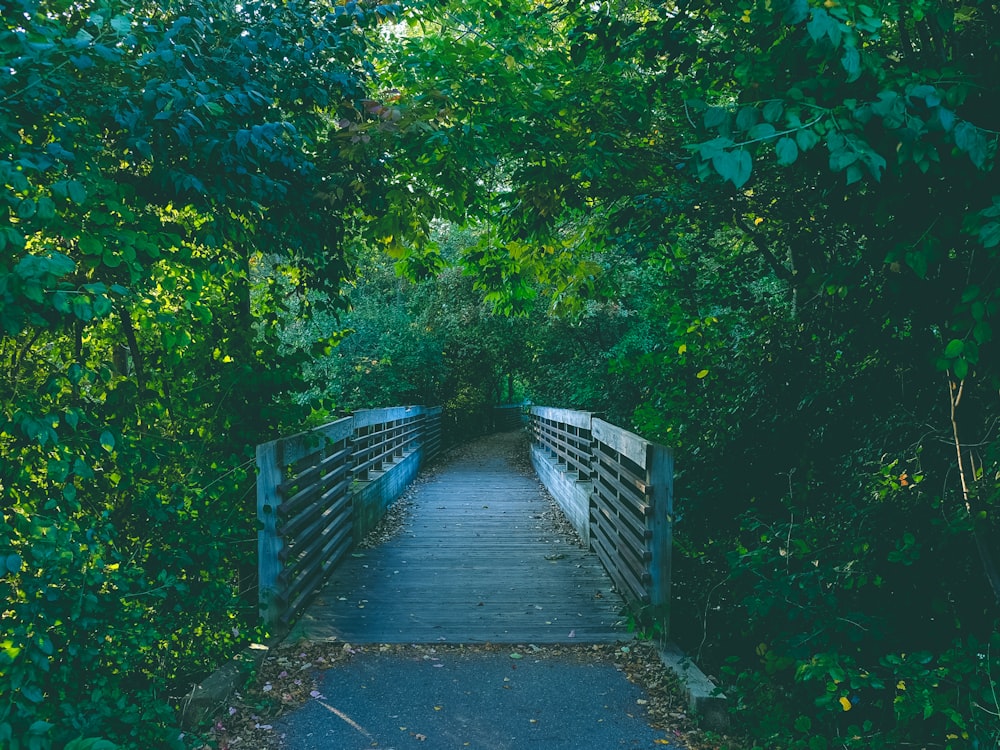 clear brown wooden footbridge along the forest