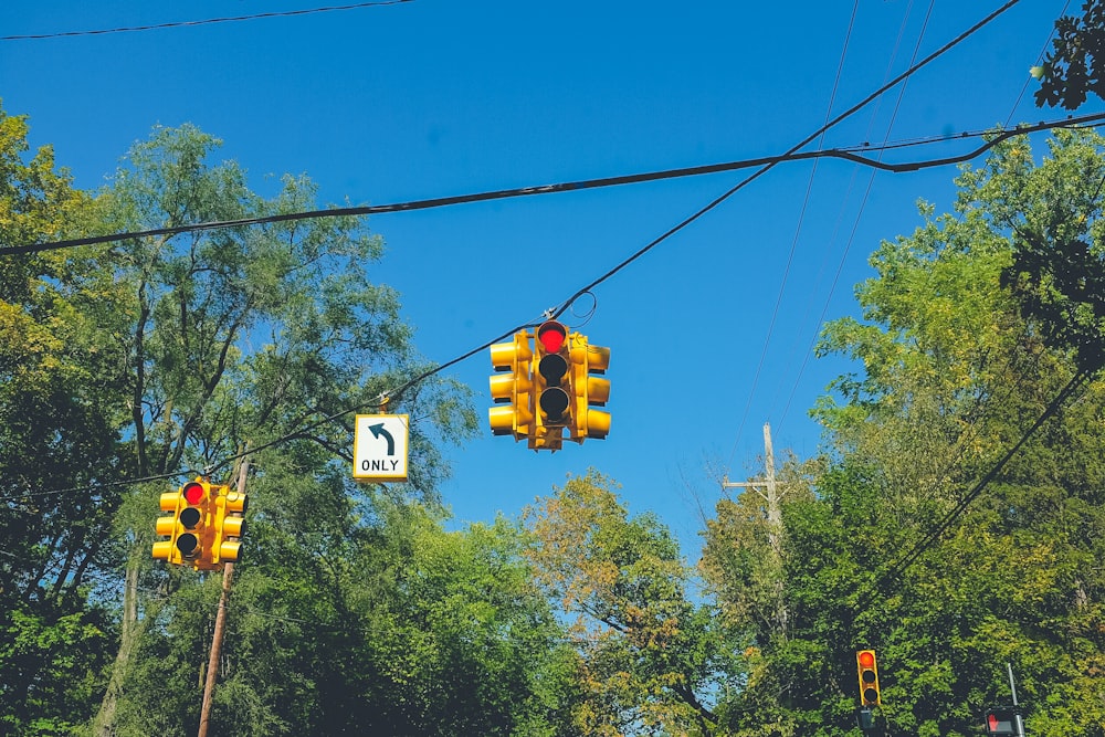 traffic light with red light on