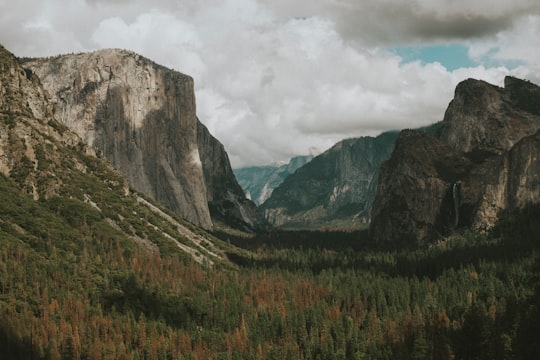 gray mountains and tree in Yosemite National Park, Yosemite Valley United States