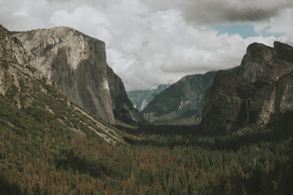 gray mountains and tree