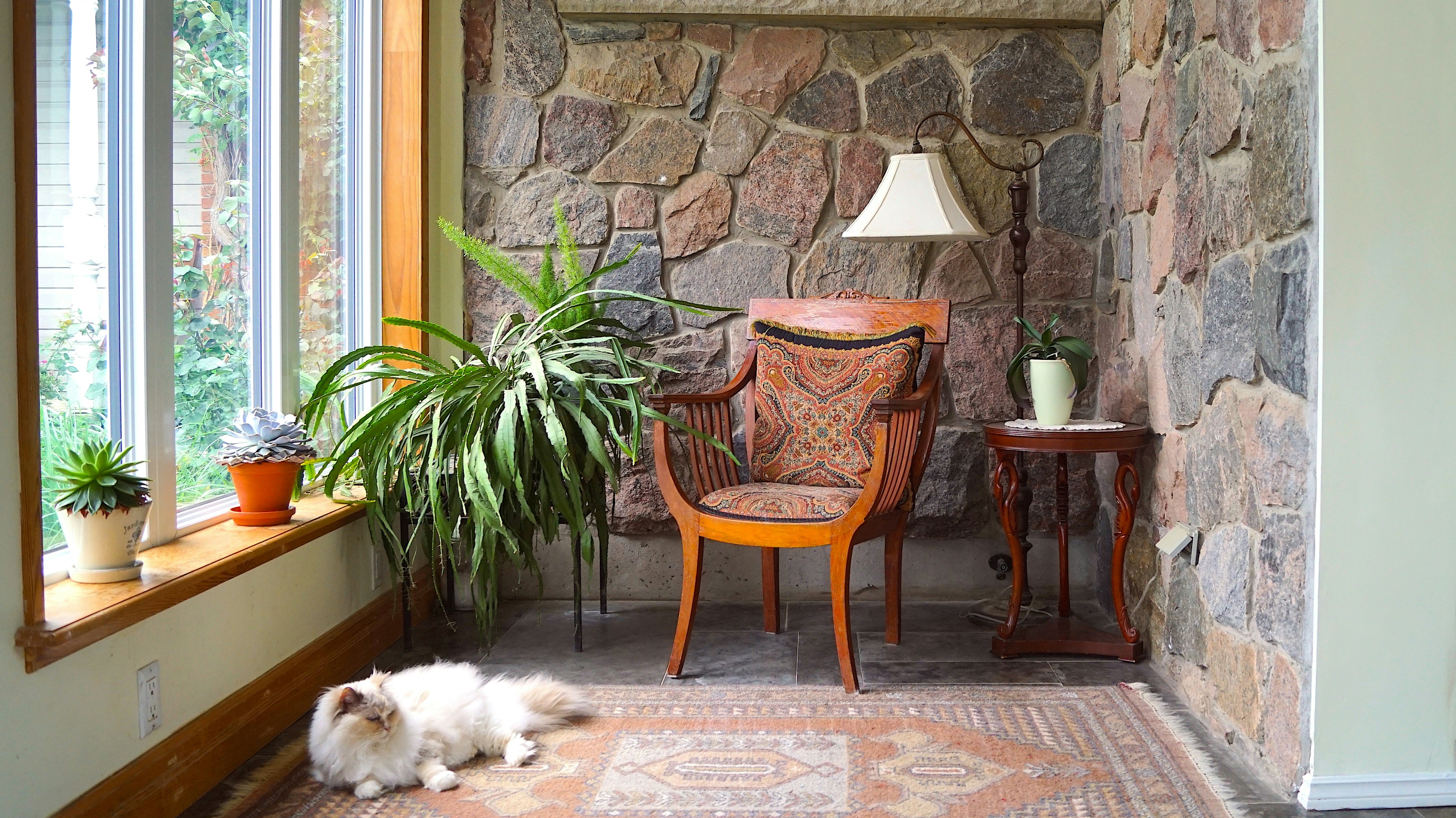 How to Create a Cozy and Stylish Cat Corner at Home