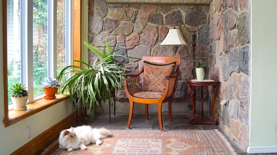 A cozy corner with a stone wall, featuring a wooden chair with a decorative cushion and a small wooden side table holding a lamp and a potted plant. To the left, several potted plants are placed on a window ledge, and a fluffy white cat lies on a patterned rug.