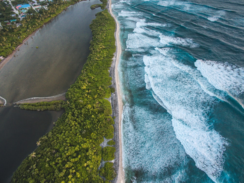 bird'-eye view photography of seashore