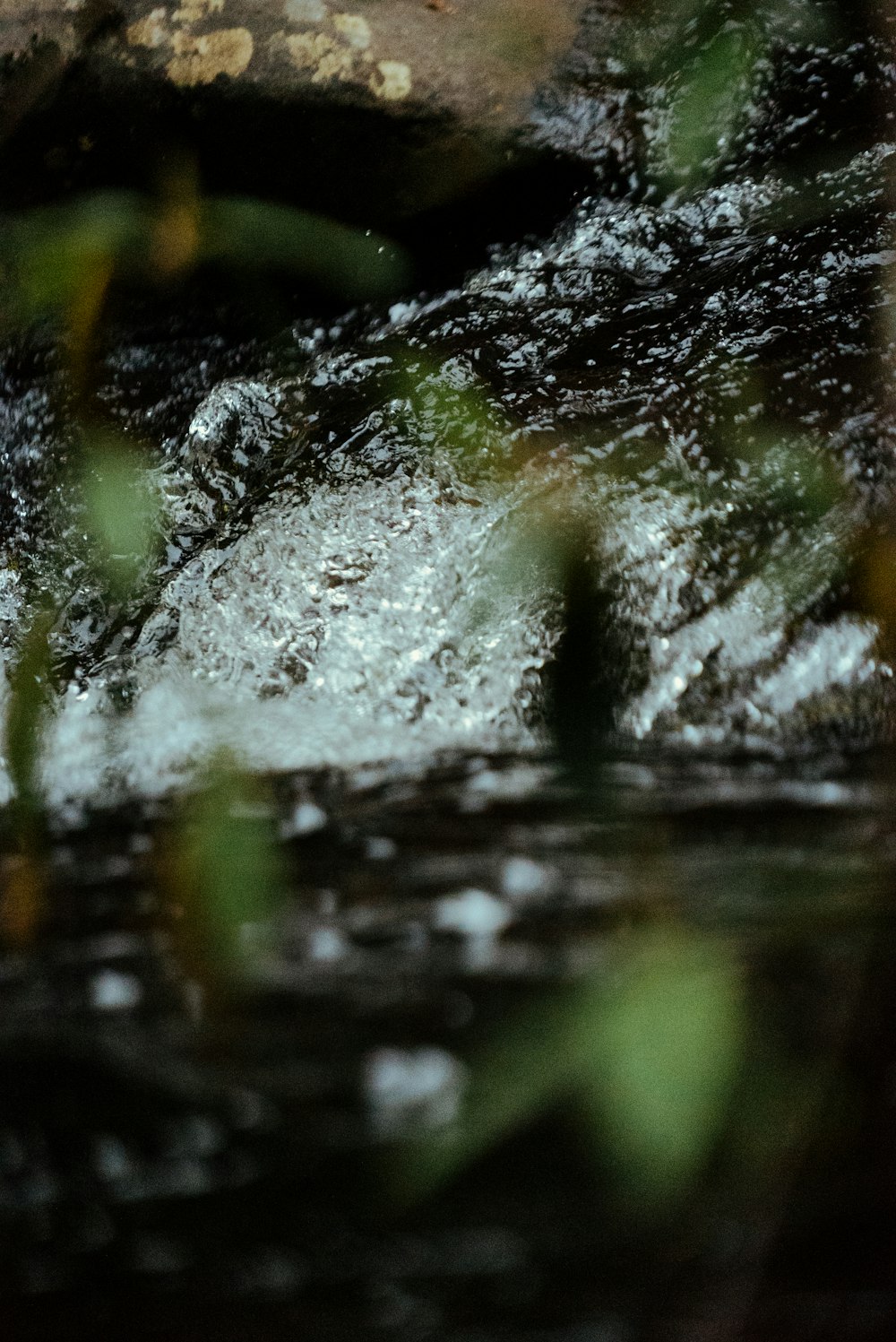 water splash on green moss