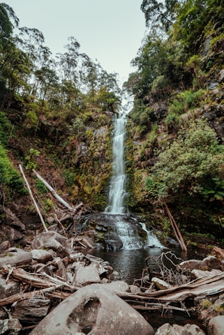 erskine falls, great ocean road - Must-See Stops on Melbourne’s Great Ocean Road