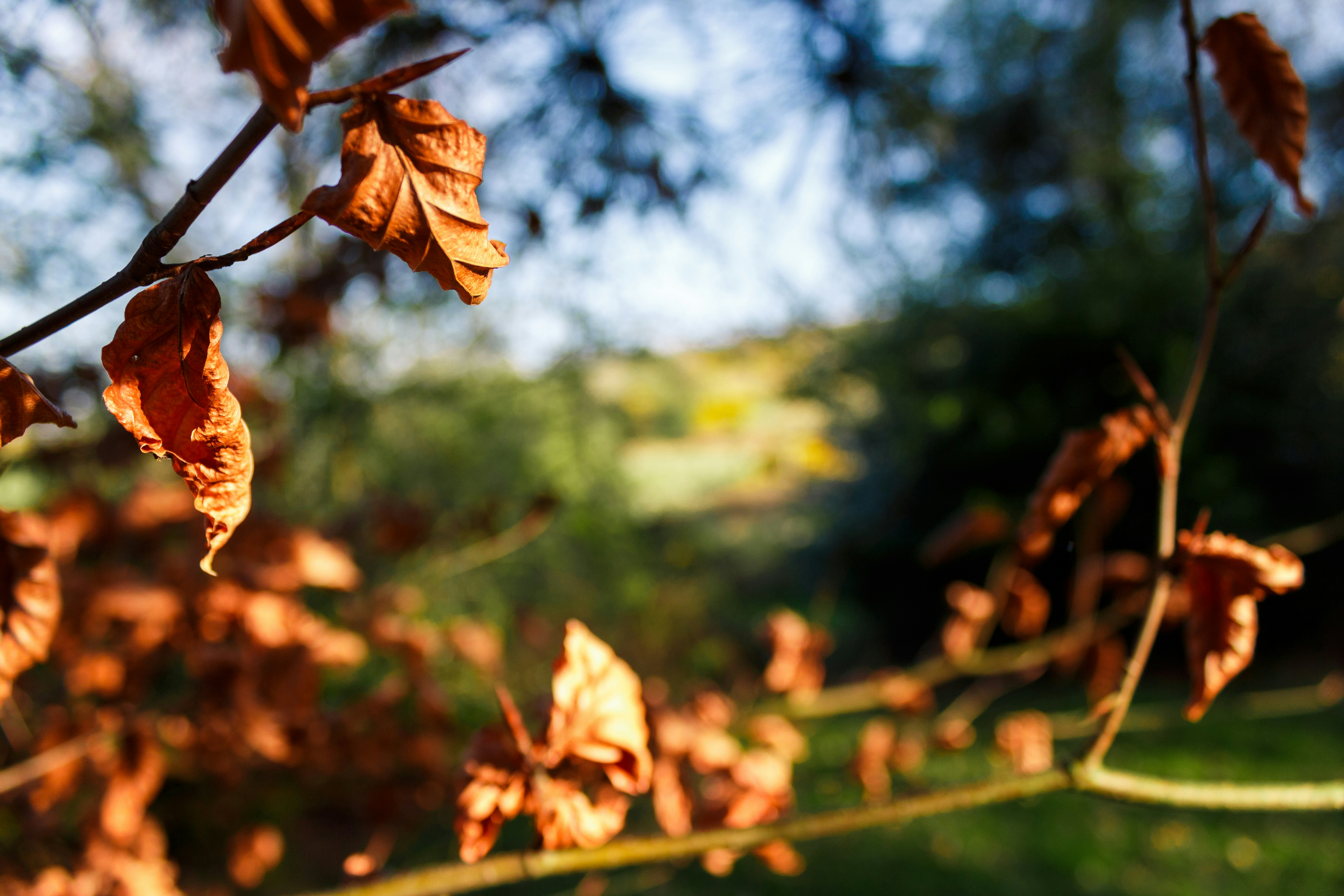 가을 건조 피부 대처법