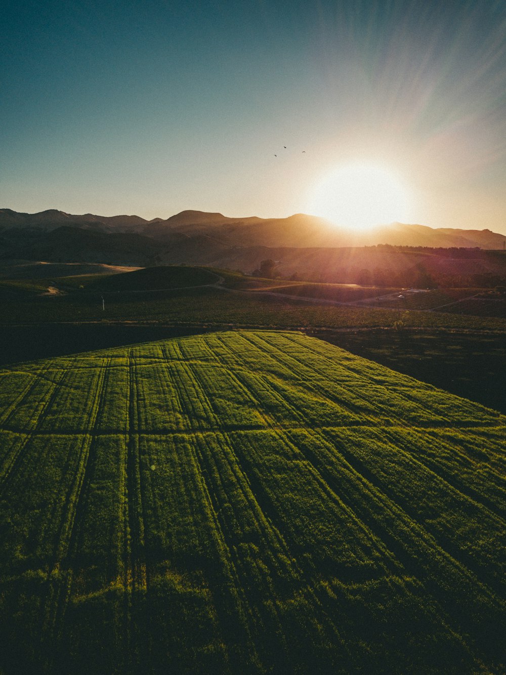 aerial photography ofgreen grass field