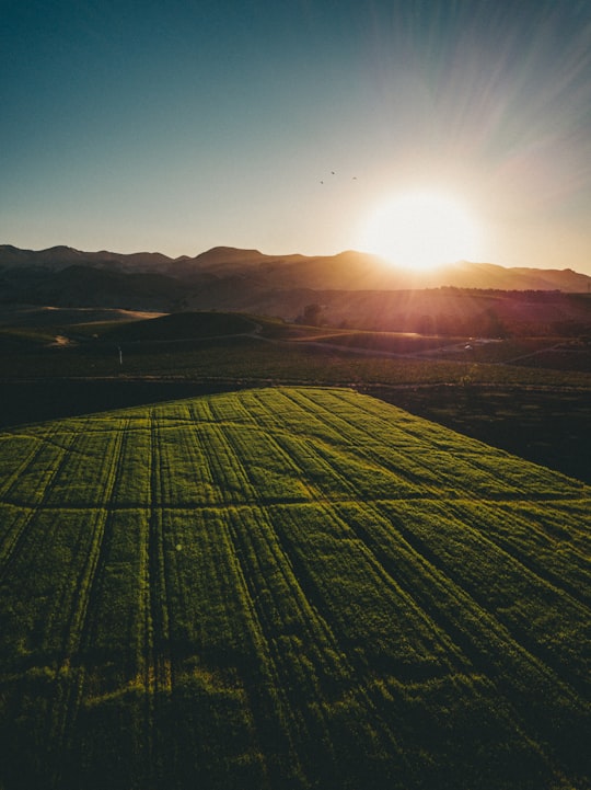 photo of San Luis Obispo Plain near Pismo State Beach