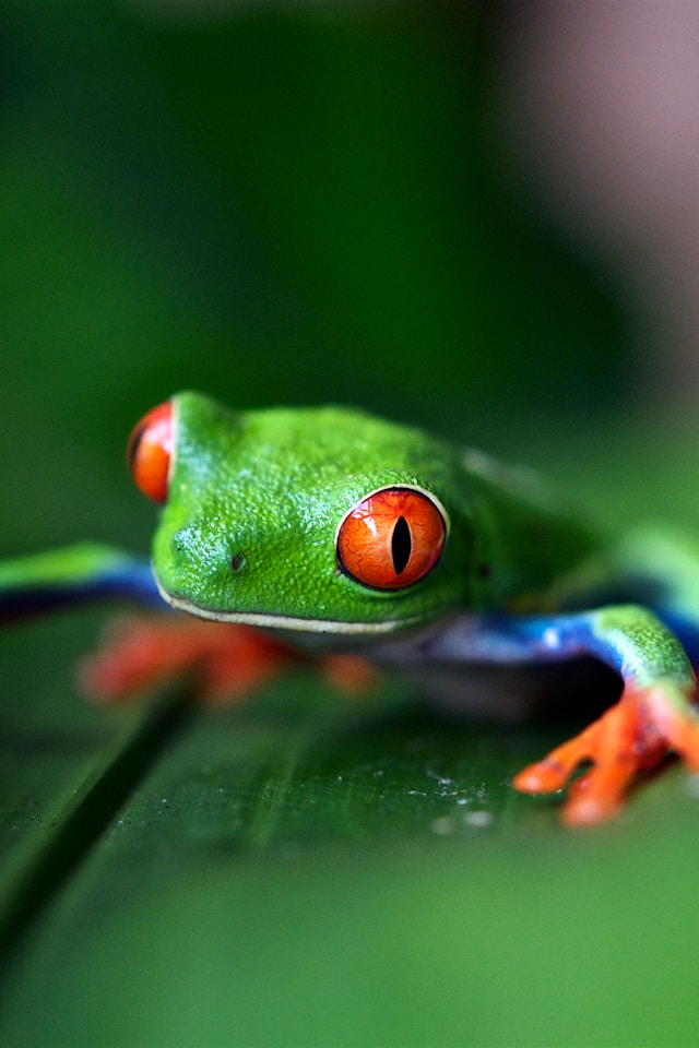 Costa Rica