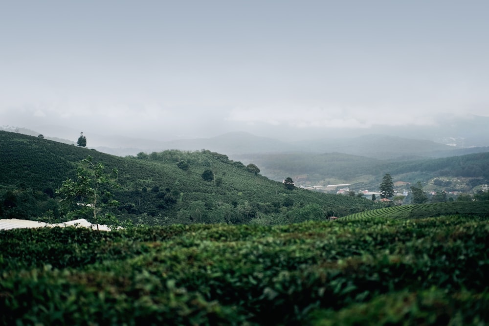 fotografía de paisaje de colinas bajo cielo brumoso