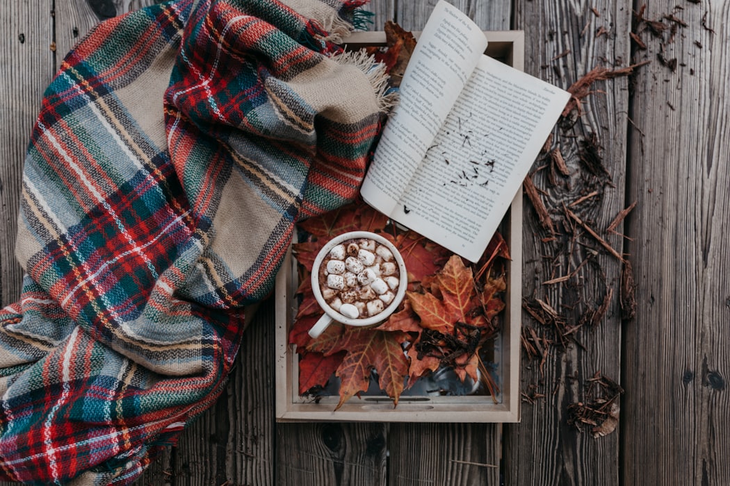 https://unsplash.com/photos/rjhLxgmP8bA