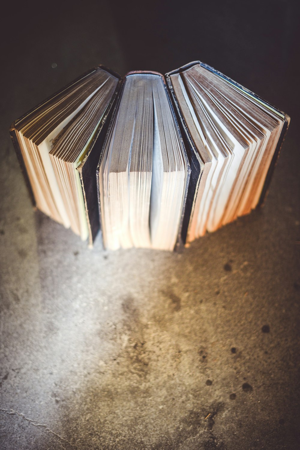 top view photography of three books