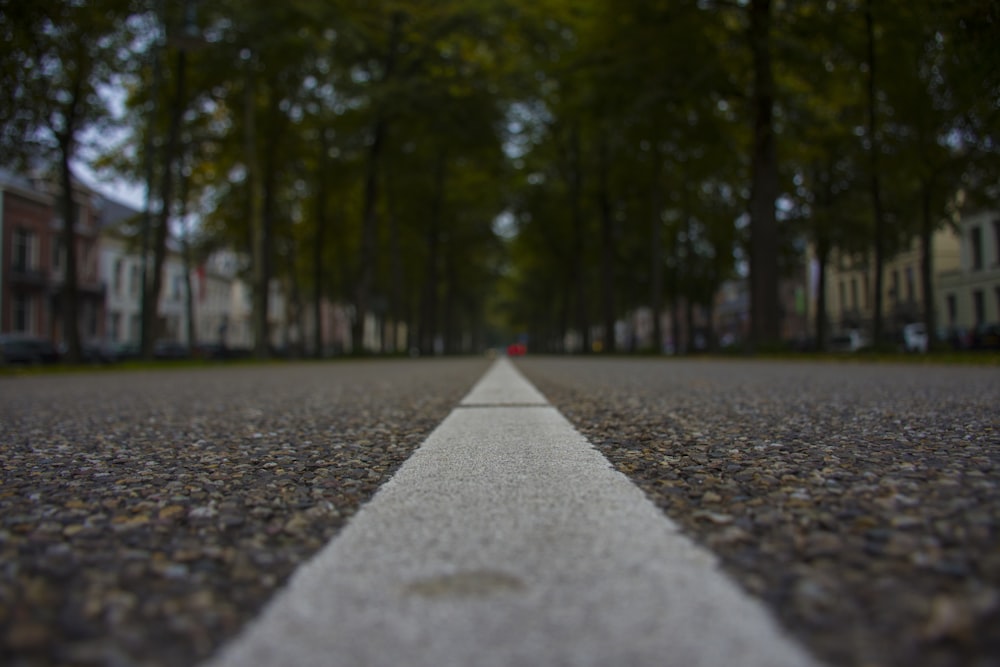 worms's-eye view photography of asphalt road between green trees