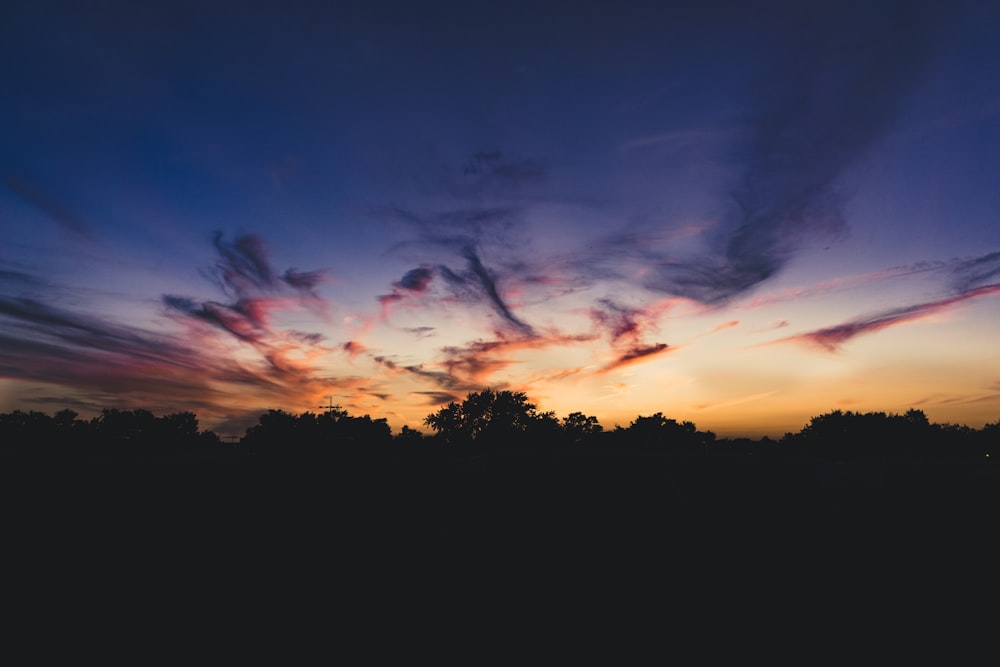 silhouette of trees under orange and gray sky