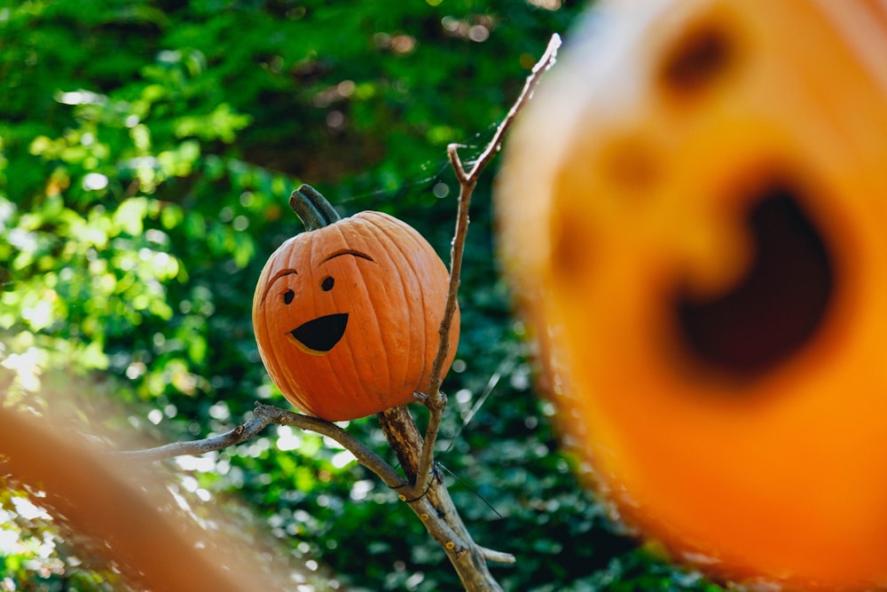 shallow focus photography of jack-o'-lantern