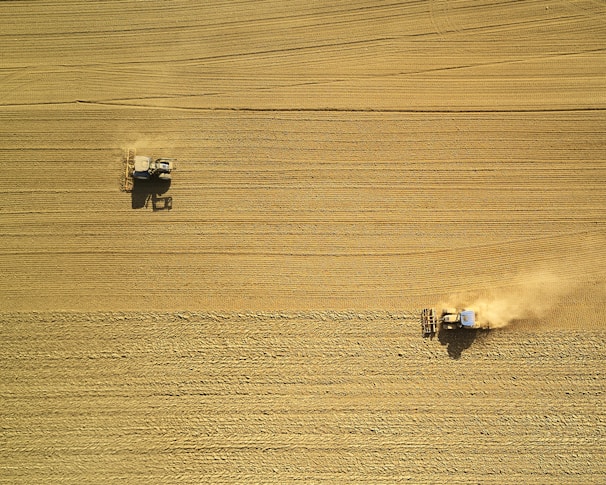 aerial view of two harvesters on brown field