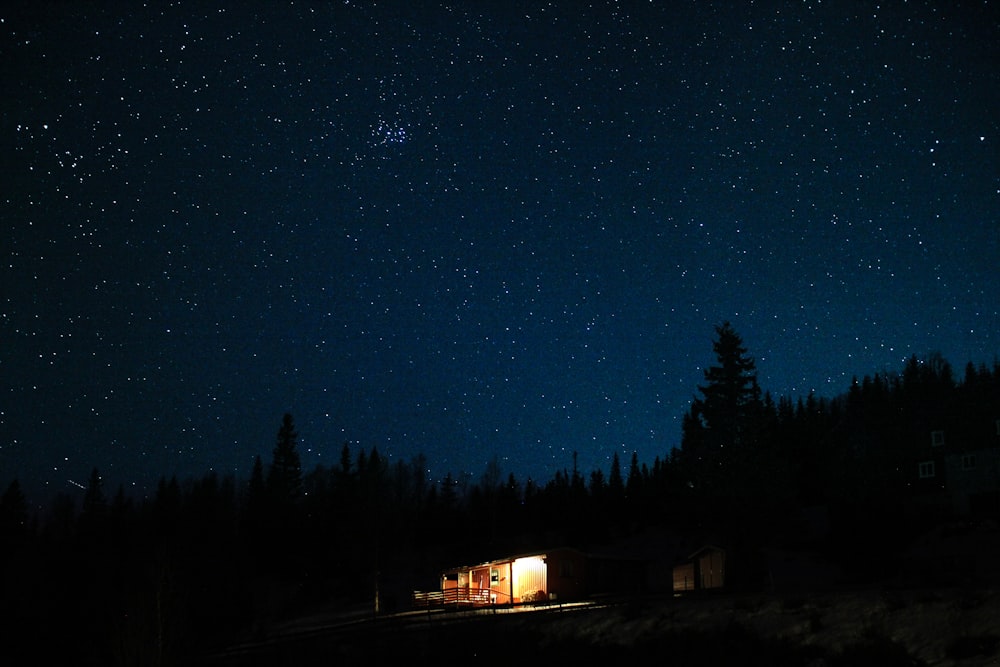 photo of house on forest