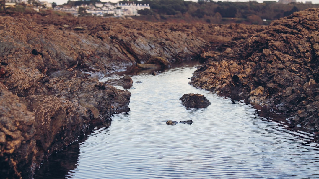 photo of Falmouth Watercourse near Kynance Cove