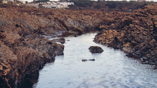 photo of body of water surrounded by rocks in Falmouth United Kingdom