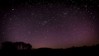 A starry night sky with glowing zodiac constellations in shades of deep blue and purple.