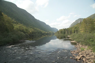 A tranquil river flowing through a lush green valley.